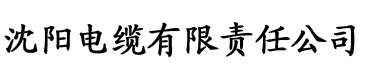 亚洲综合久久1区2区3区电缆厂logo